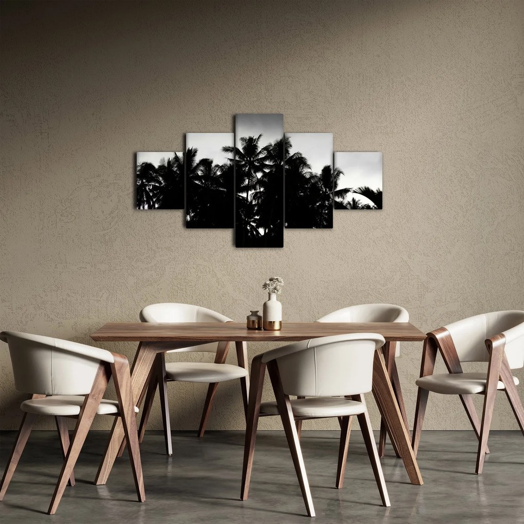 Obraz czarno - biały - palmy (125x70 cm)