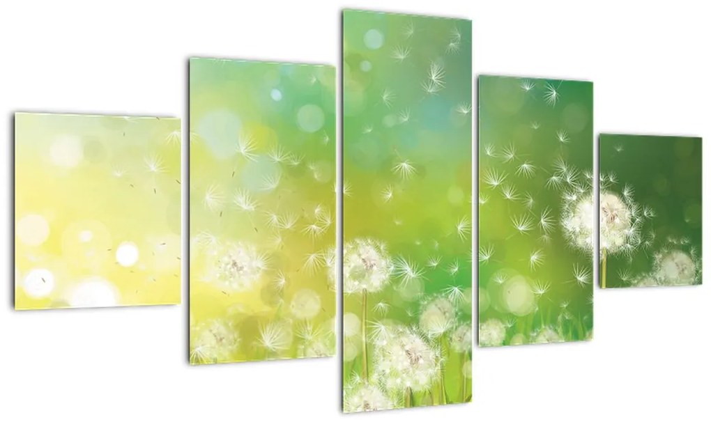 Obraz - Kwitnące mlecze (125x70 cm)
