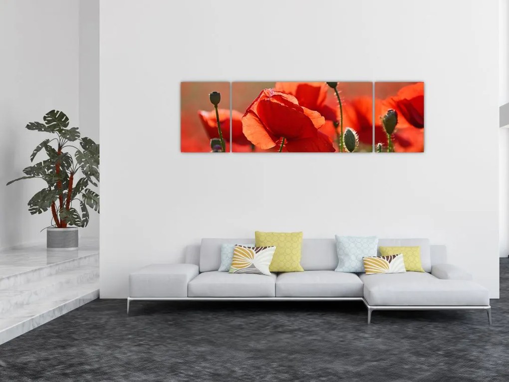 Obraz maków (170x50 cm)