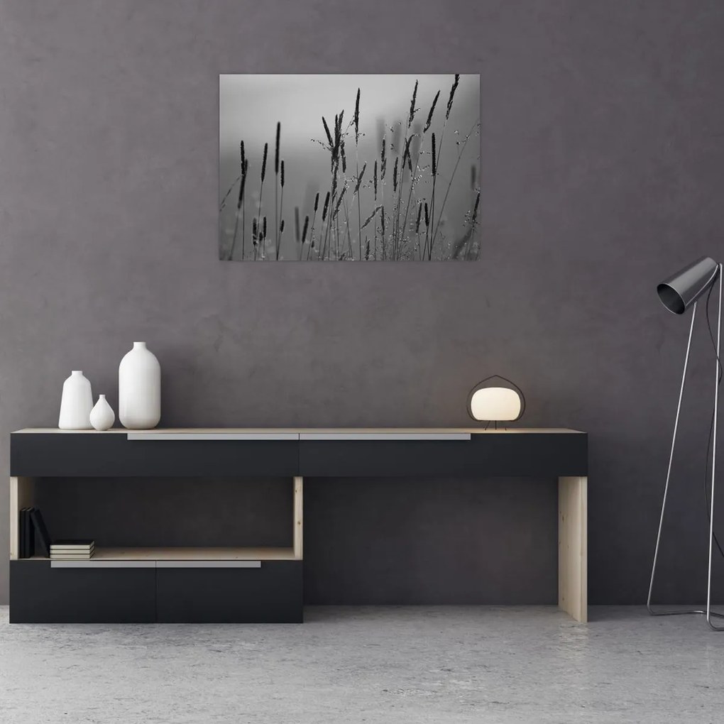 Obraz na szkle - źdźbła trawy (70x50 cm)