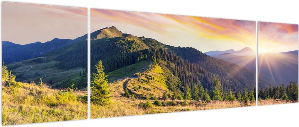 Obraz - Krajobraz leśny (170x50 cm)