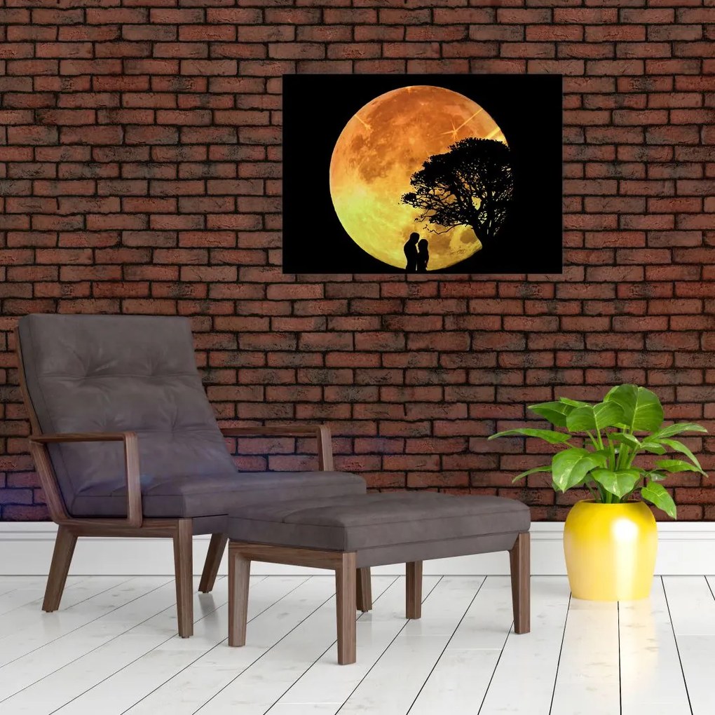 Obraz cieni w świetle księżyca (70x50 cm)