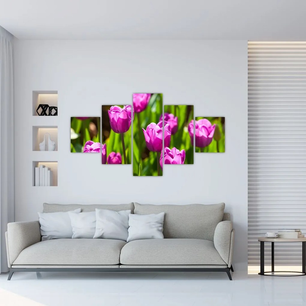 Obraz tulipanów na łące (125x70 cm)