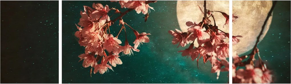 Obraz - Kwiat wiśni podczas pełni (170x50 cm)