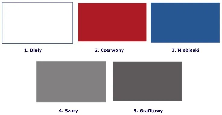 Biało-grafitowy zestaw mebli młodzieżowych Erwa 2Y - 5 kolorów