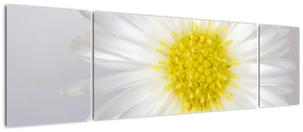Obraz - Margarita (170x50 cm)