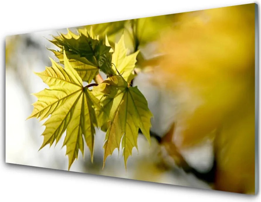 Panel Kuchenny Świeże Liście W Przybliżeniu