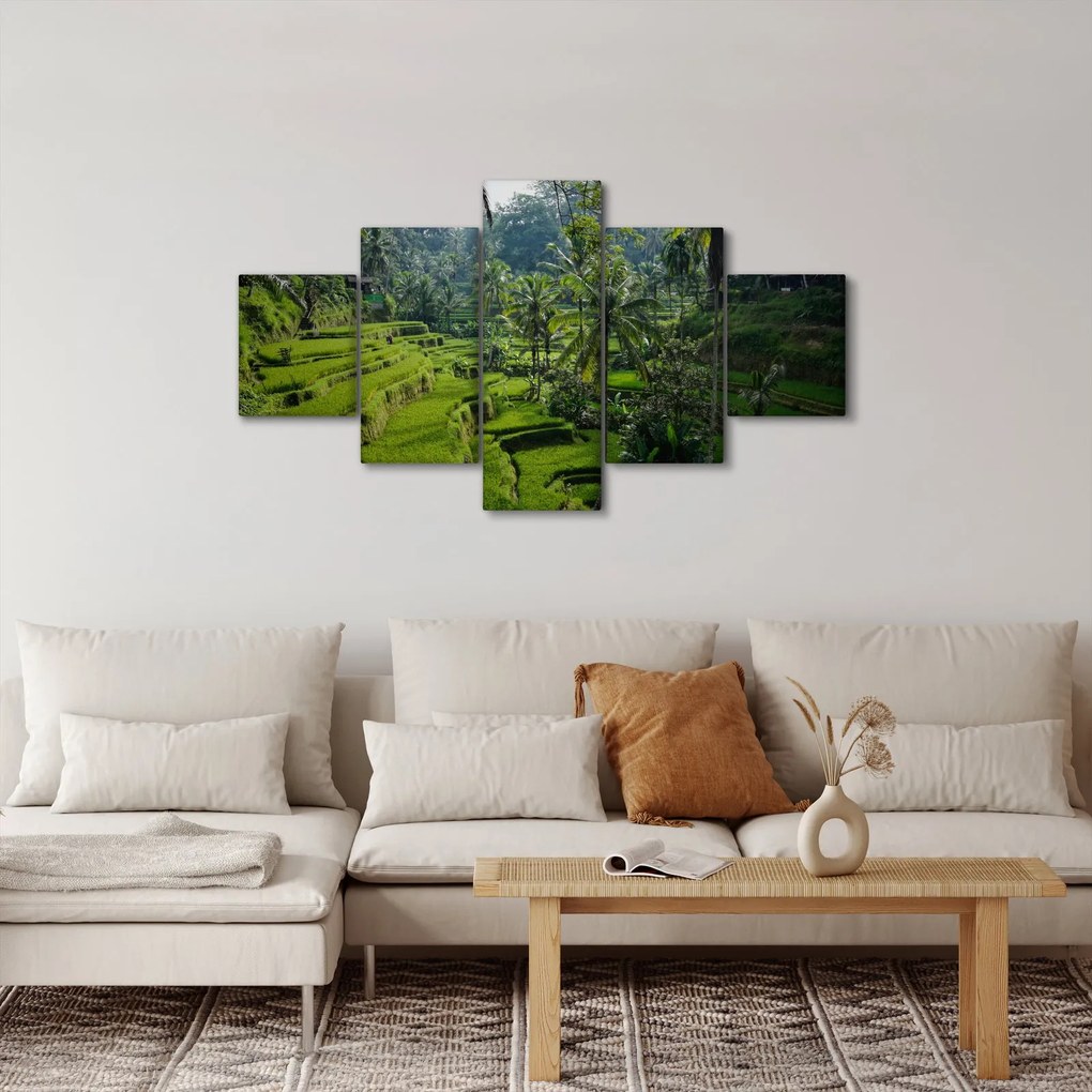 Obraz tarasów ryżowych Tegalalang, Bali (125x70 cm)