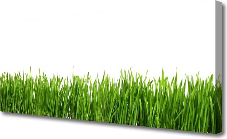 Zdjęcie na płótnie Soczysta Zielona Trawa
