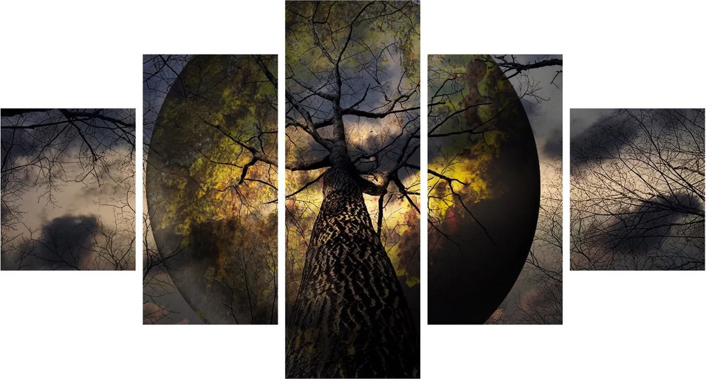 Obraz - Tajemnicze niebo (125x70 cm)
