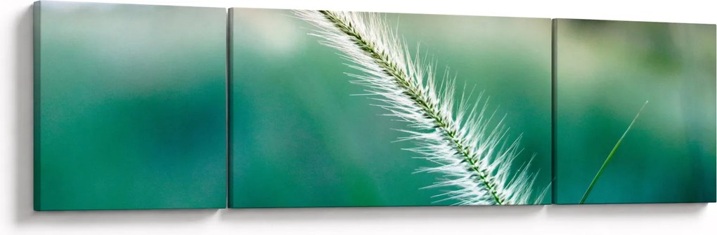 Obraz źdźbła trawy (170x50 cm)