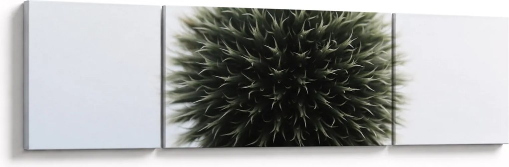 Obraz kuli kwiatowej (170x50 cm)