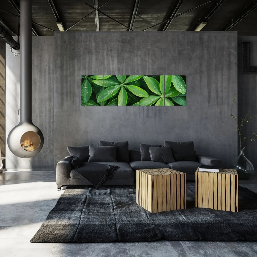 Obraz - Liście z kroplami rosy (170x50 cm)