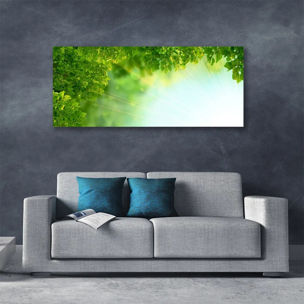 Obraz Canvas Liście Przyroda Roślina