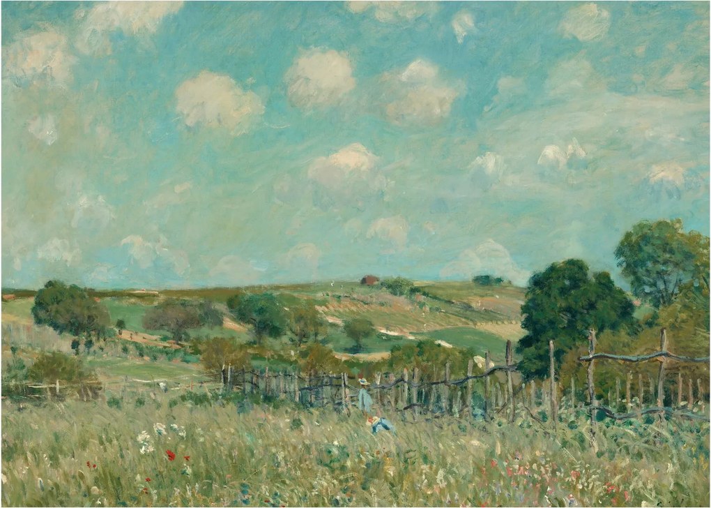 Obraz - Alfred Sisley, Meadow, reprodukcje (70x50 cm)