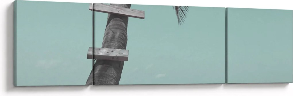 Obraz - Palma na Karaibach (170x50 cm)