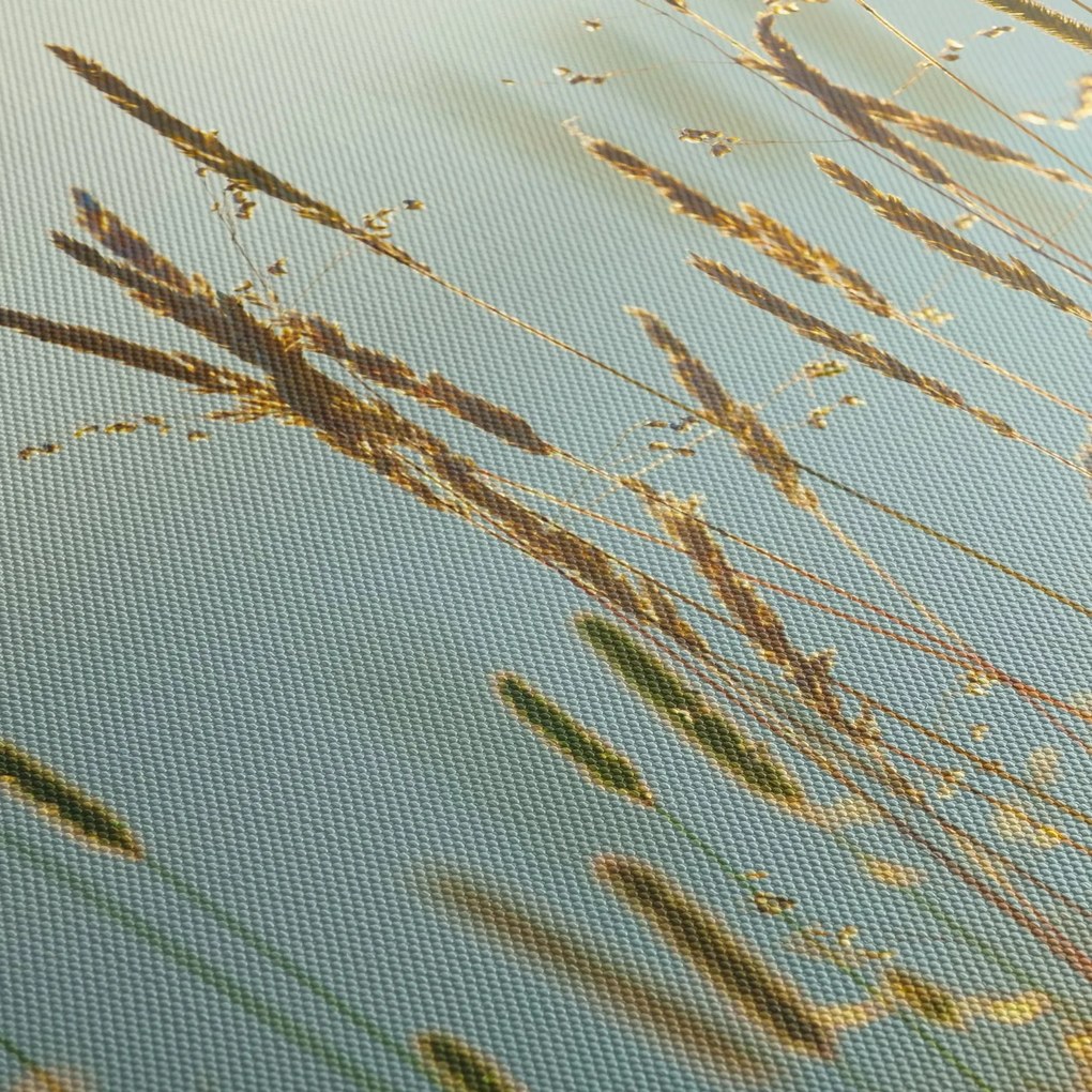 Obraz - Łąkowa chwila (125x70 cm)