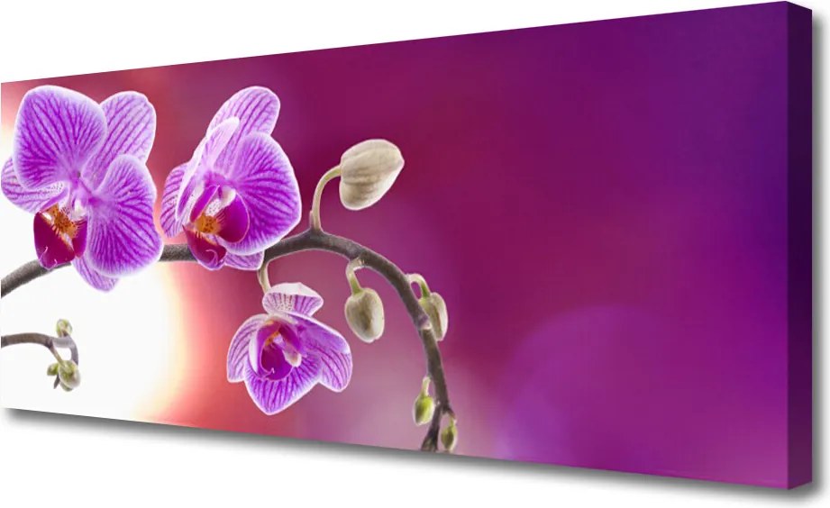 Obraz canvas Bukiet Letnich Kwiatów