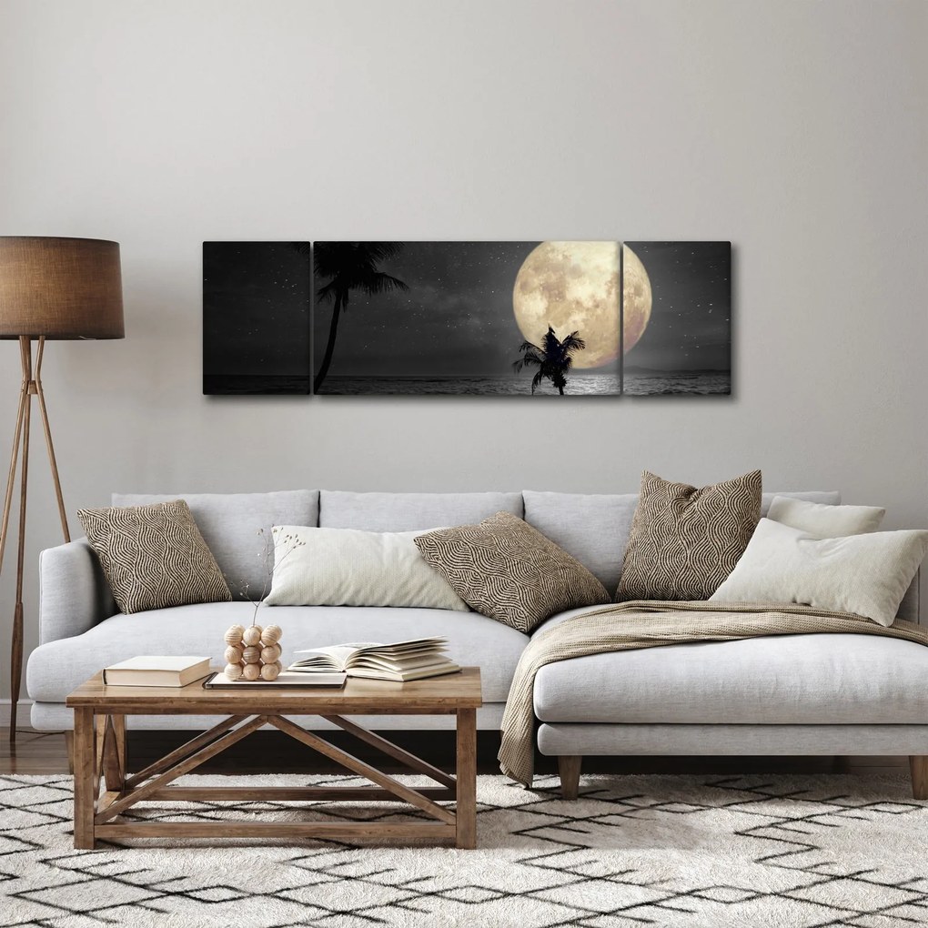 Obraz - Plaża pod pełnią księżyca w odcieniach szarości (170x50 cm)