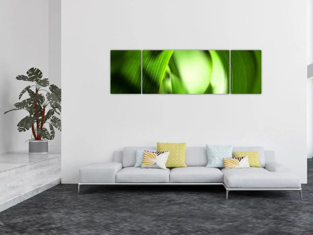 Obraz - Źdźbło trawy (170x50 cm)