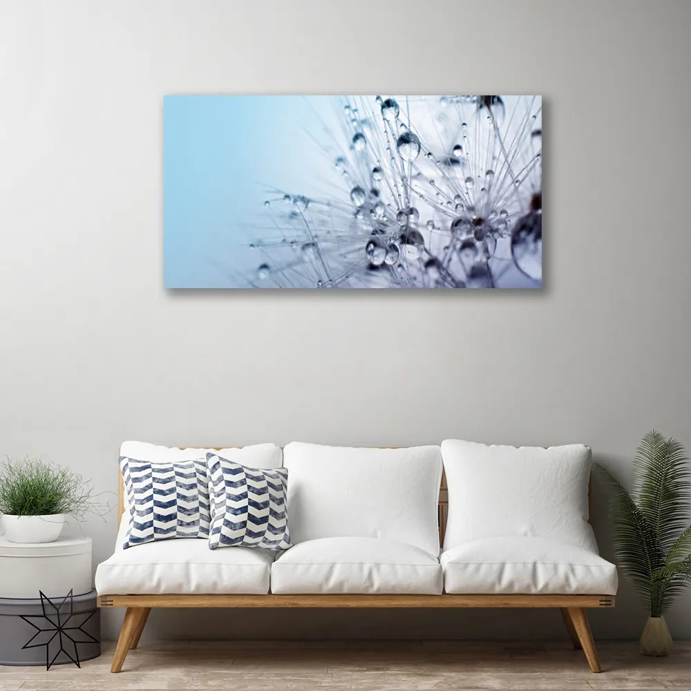 Obraz canvas na ścianę Puszysta Kula Mniszka