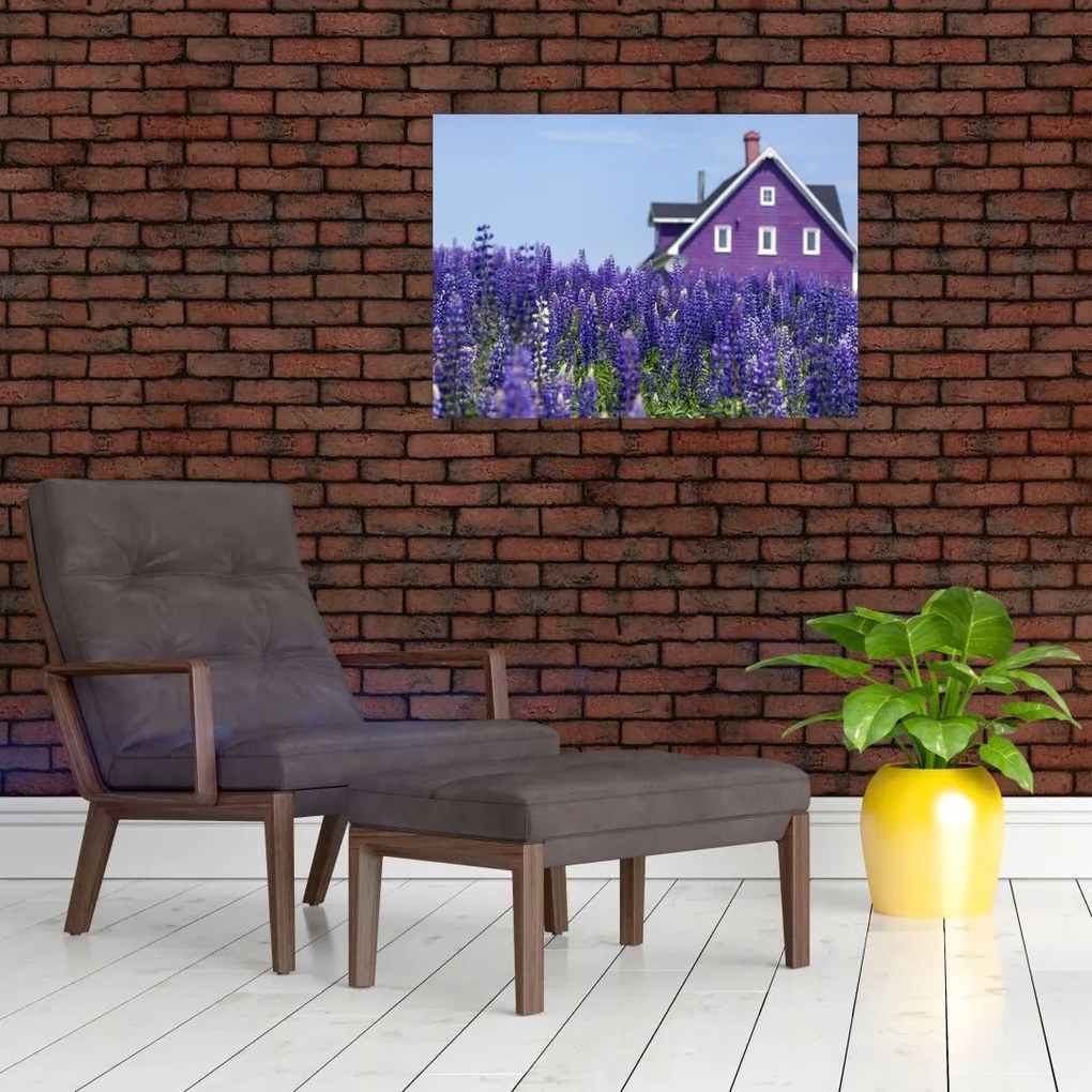 Obraz na szkle - lawendowe pole (70x50 cm)