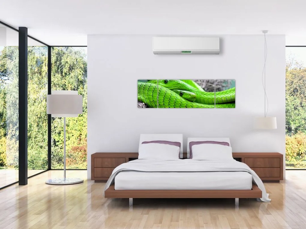 Obraz zielonych węży (170x50 cm)