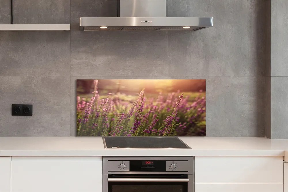 Szkło do Kuchni na Ścianę Rozległe Pole Wrzosów