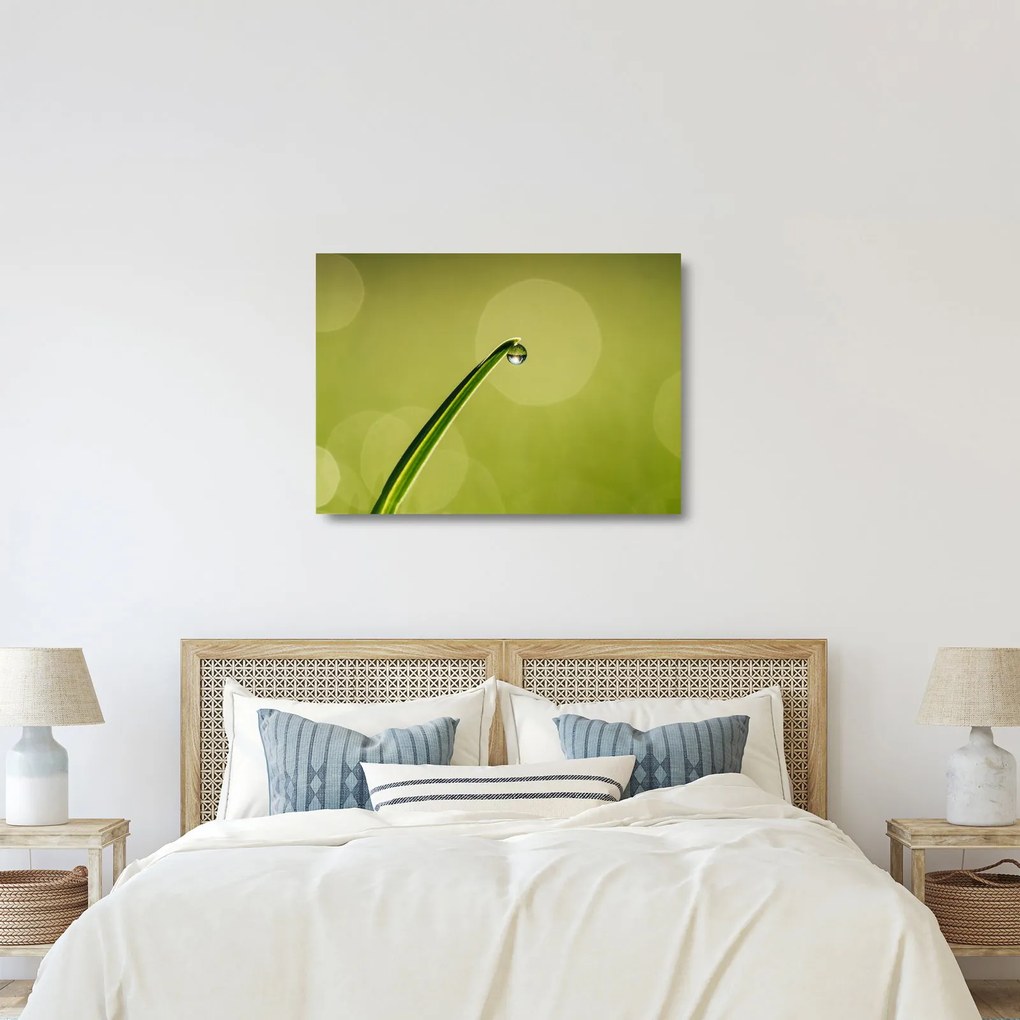 Obraz na szkle - krople wody na trawie (70x50 cm)