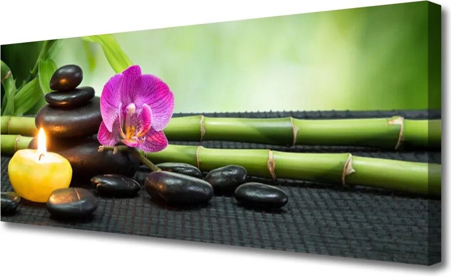 Zdjęcie na płótnie Chwila Wyciszenia: Bambus i Kwiat