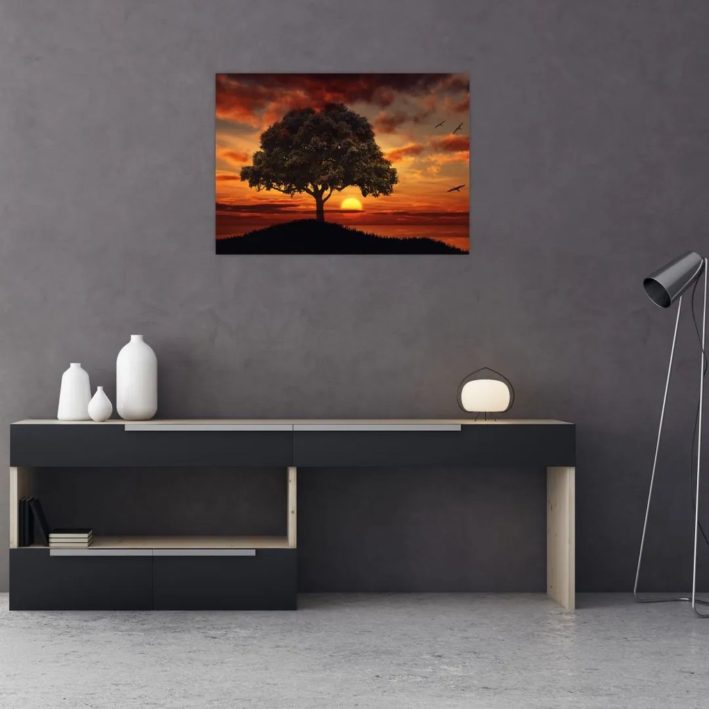 Obraz na szkle drzewa o zachodzie słońca (70x50 cm)