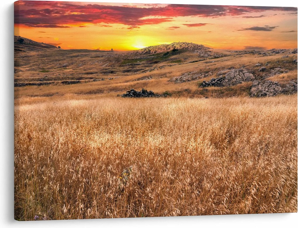 Obraz pola (70x50 cm)