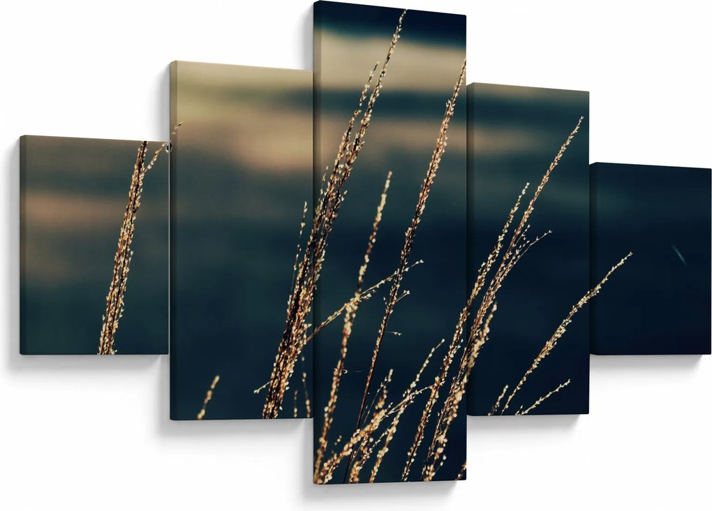 Obraz traw (125x70 cm)