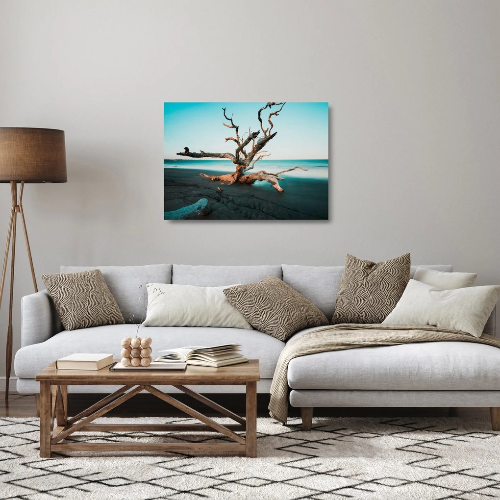 Obraz na szkle - Wyłowiono na plaży (70x50 cm)