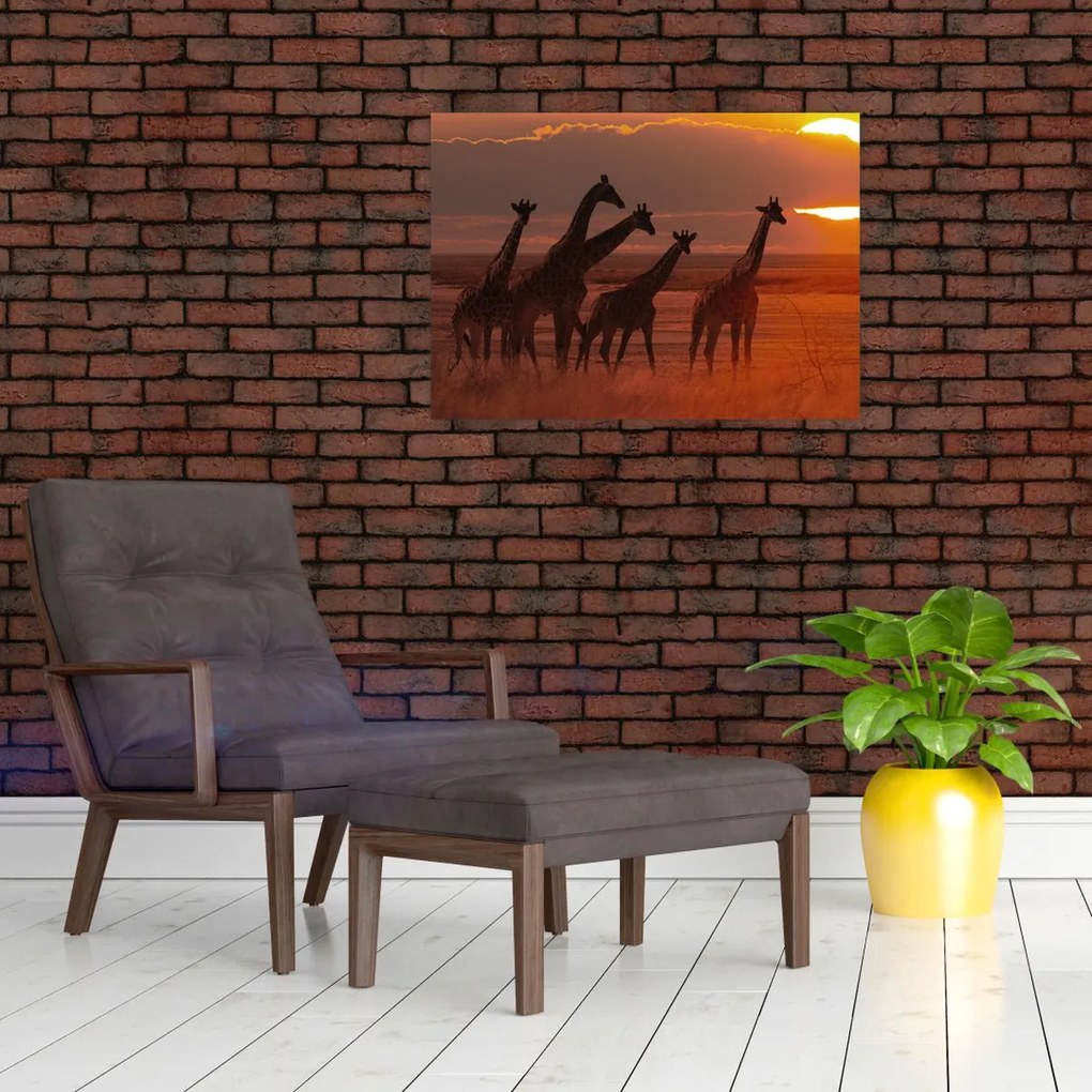 Obraz na szkle - Żyrafy na afrykańskiej sawannie (70x50 cm)