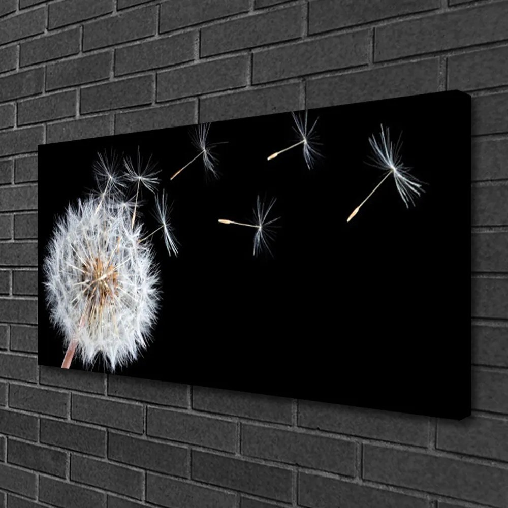 Obraz canvas Ulotność Polnego Dmuchawca
