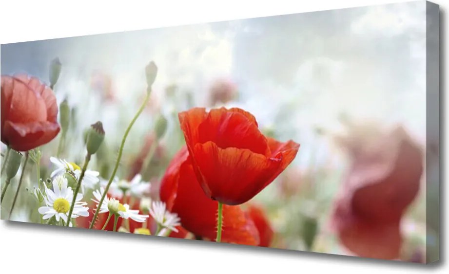 Obraz canvas Płatki Kwiatów w Makro