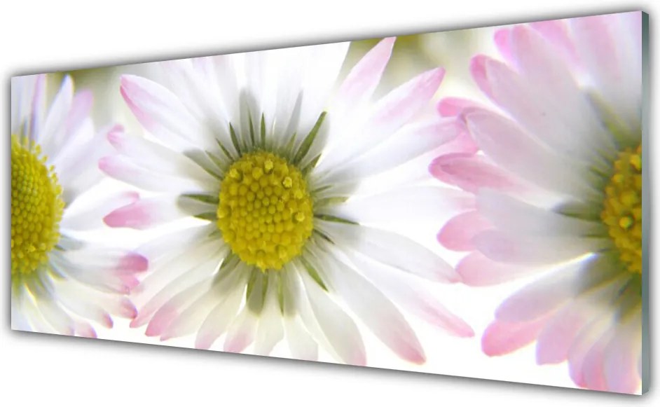 Panel nad blat kuchenny Biała Stokrotka Na Polanie