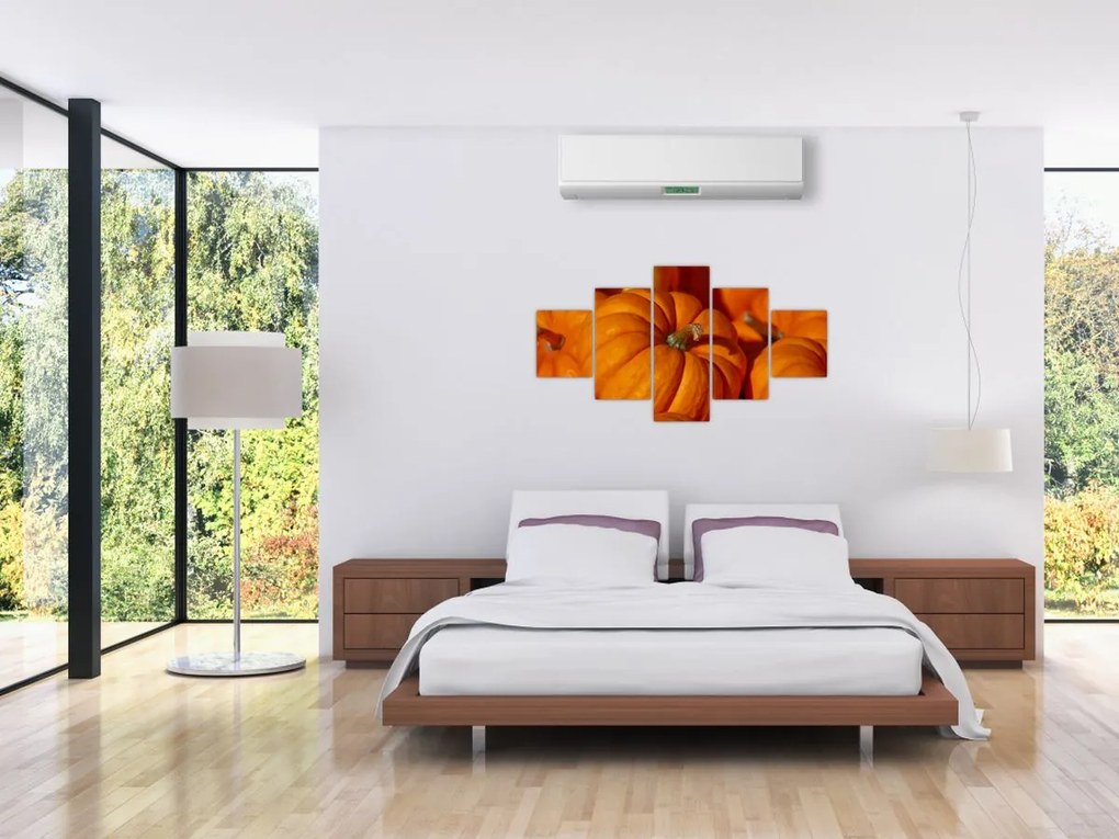 Obraz - Wspaniałe dynie (125x70 cm)