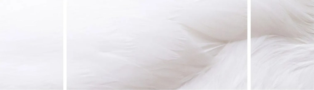Obraz - Szczegół piórka (170x50 cm)