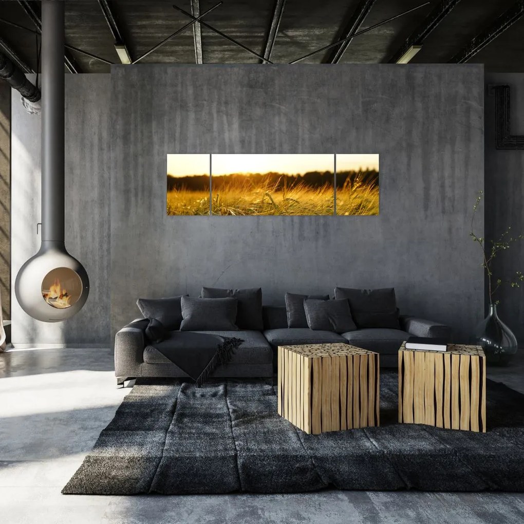 Obraz zroszonej trawy (170x50 cm)