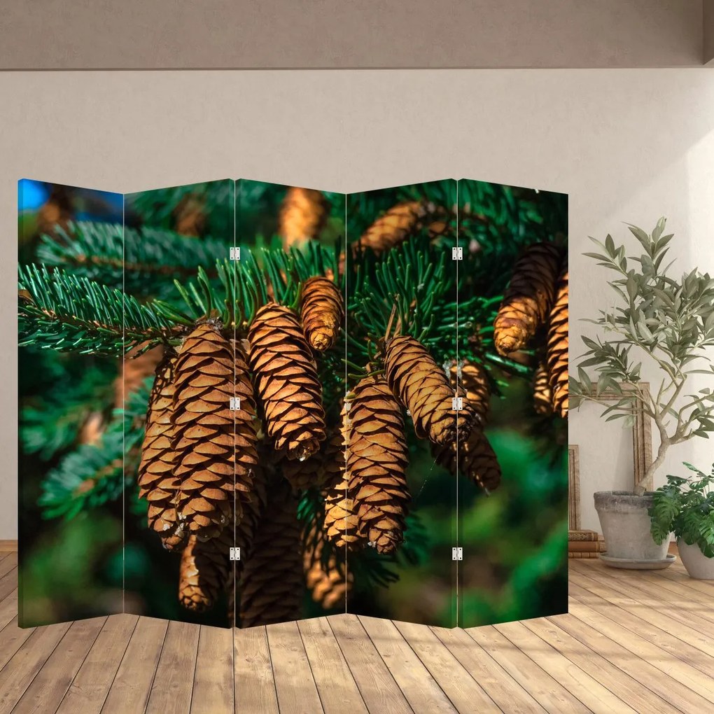 Parawan - Szyszki (210x170 cm)
