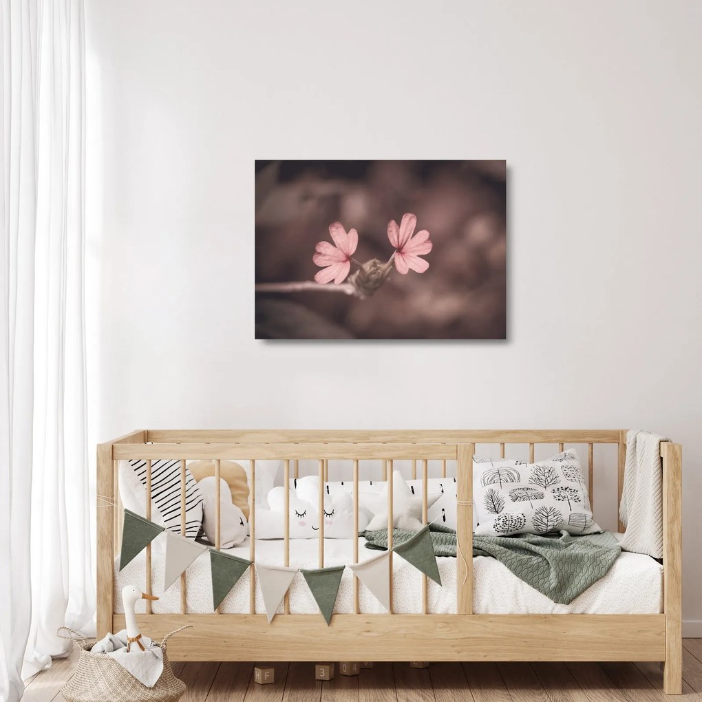 Obraz na szkle - kwiat róży (70x50 cm)