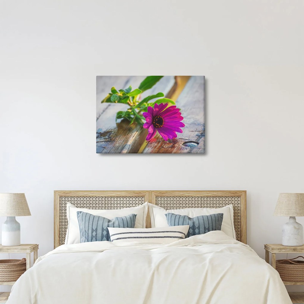 Obraz ciętego kwiatu (70x50 cm)
