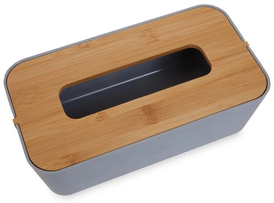 Plastikowy pojemnik na chusteczki Canyon – Premier Housewares