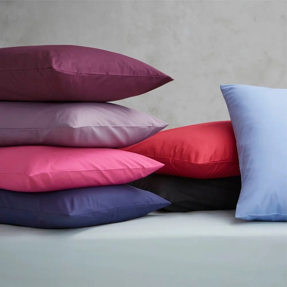 Białe prześcieradło z perkalu 230x260 cm Easy Iron Percale – Catherine Lansfield