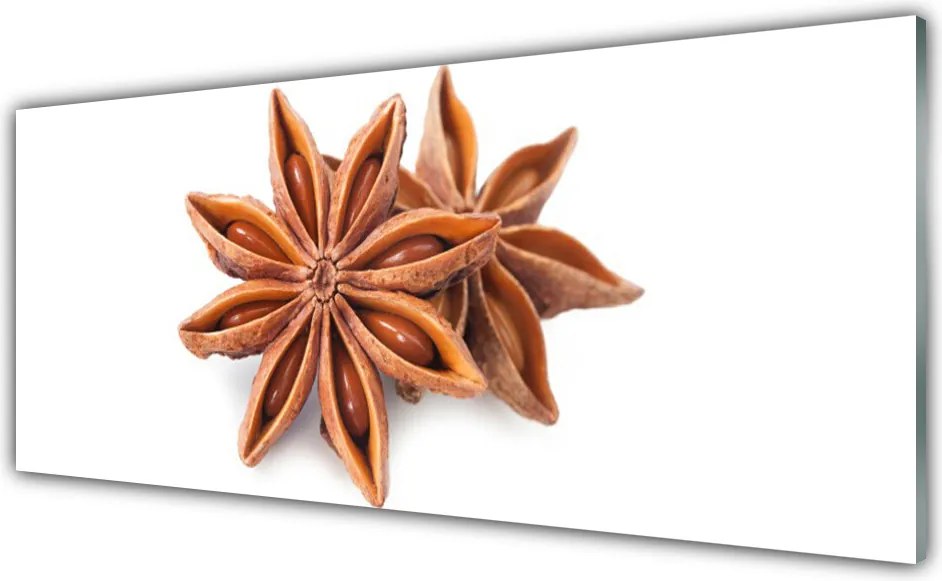 Szkło do Kuchni na Ścianę Aromat Gwieździstego Anyżu
