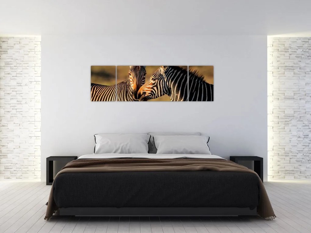 Obraz - Dwie zebry (170x50 cm)