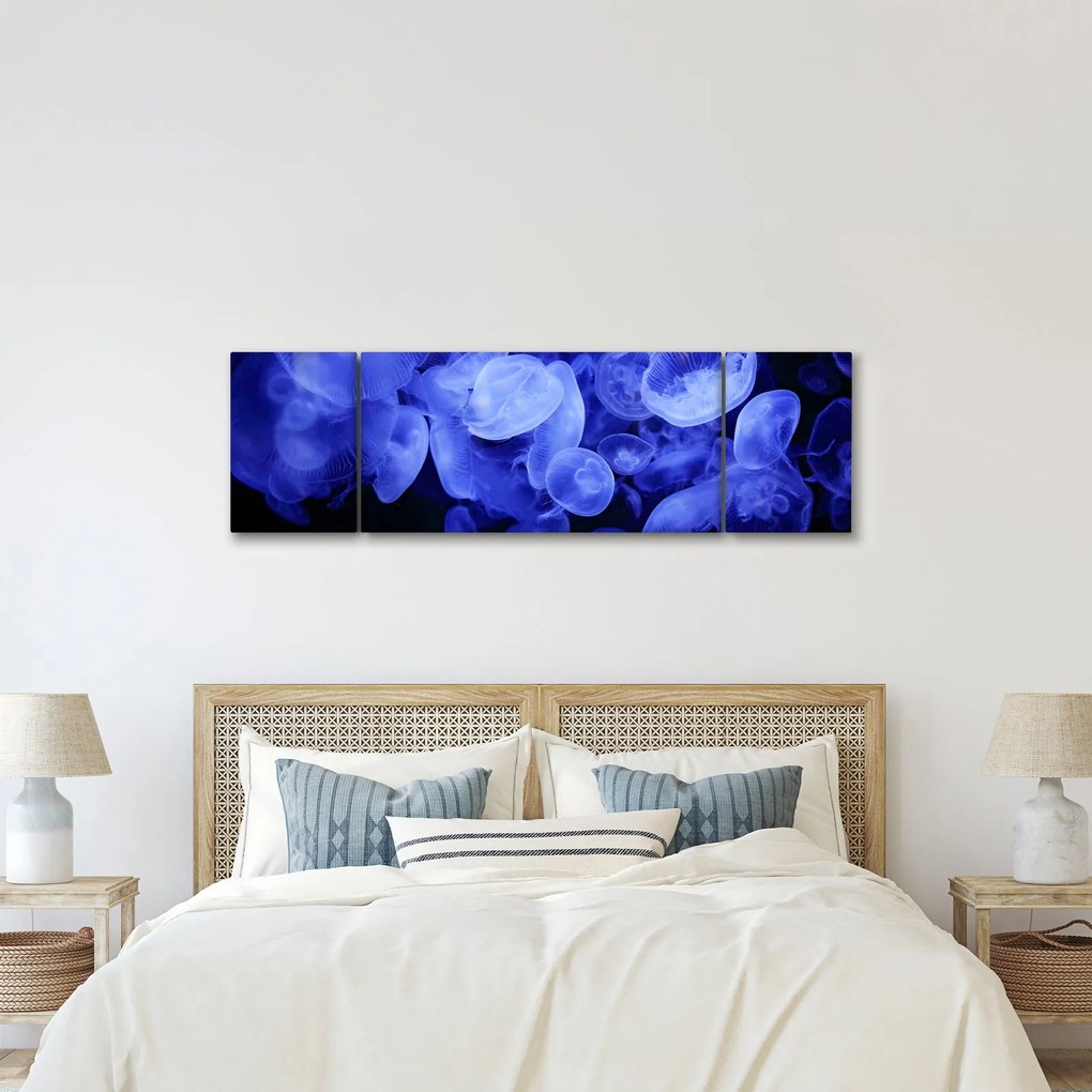 Obraz - Meduzy (170x50 cm)