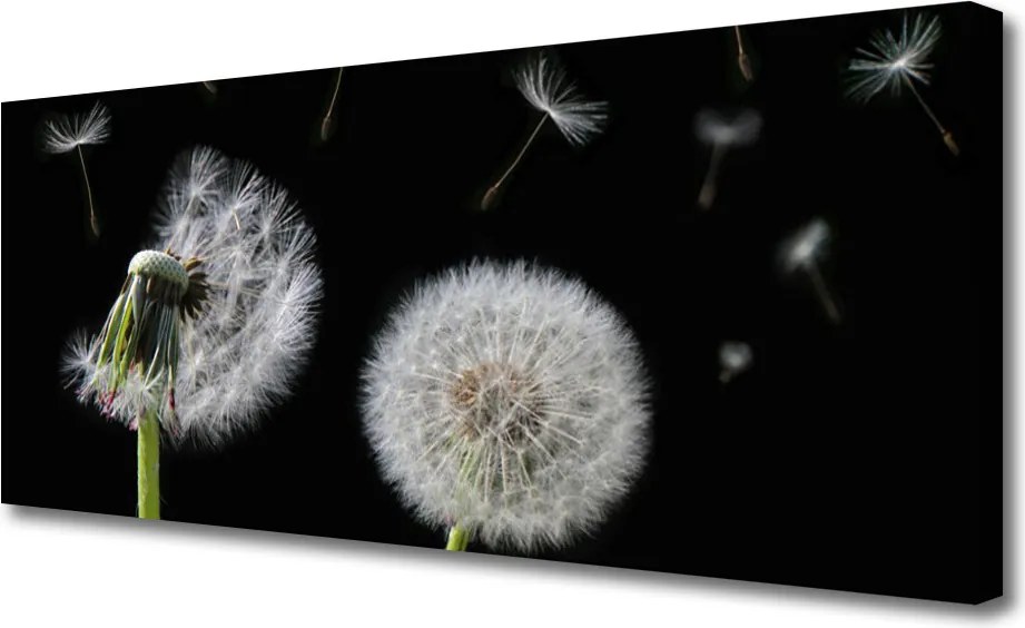 Obraz canvas na ścianę Złocisty Mniszek w Polu